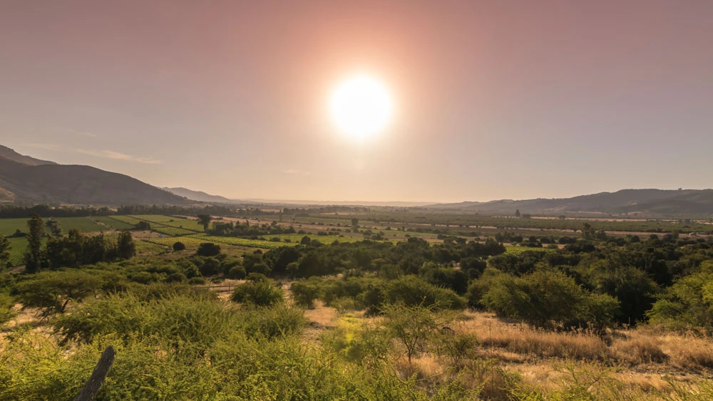 O’Higgins impulsa histórico Plan de Restauración del Secano Costero Nilahue: Litueche tendrá un rol clave en la recuperación del territorio