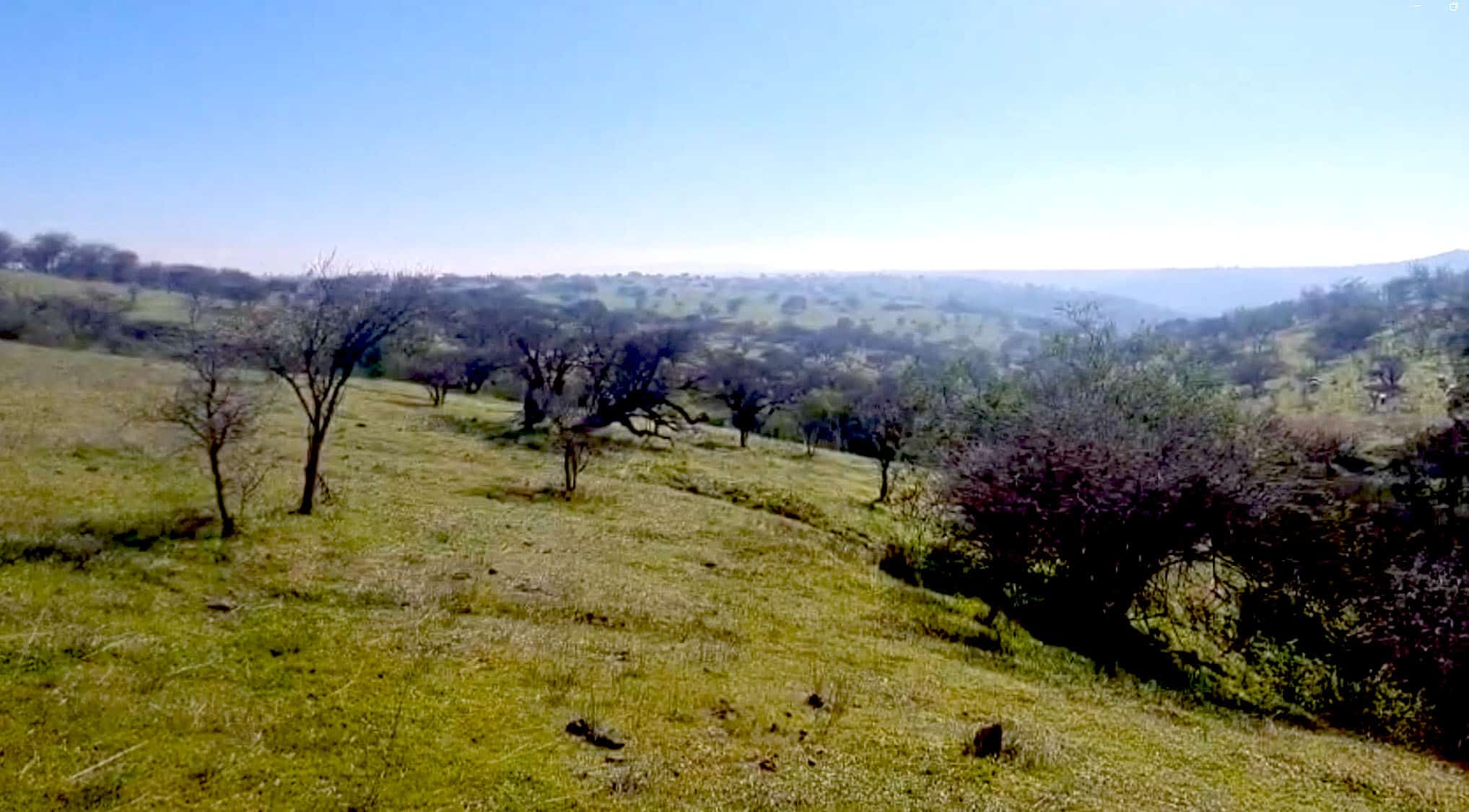 Quebrada El Arrayán y los 24 de Paine, un lugar de Litueche con una historia poco conocida